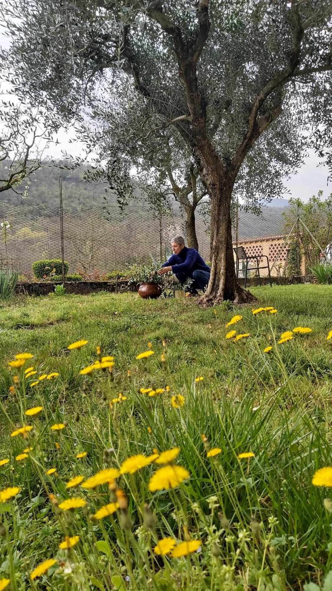 Corte Martinola Bed&Breakfast In Franciacorta Ome Екстериор снимка
